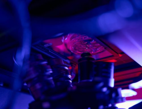 FDA’s Draft Guidance on Alternatives to Animal Testing: What Quality Teams Should Do Now